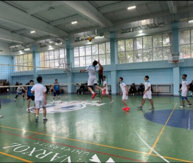 Волейбол (2)
